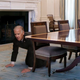 Illustration for article titled Biden Searching White House One Last Time For Missing Pet Snake